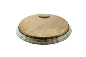 Remo Bongo - Calfskin Graphic 8.50