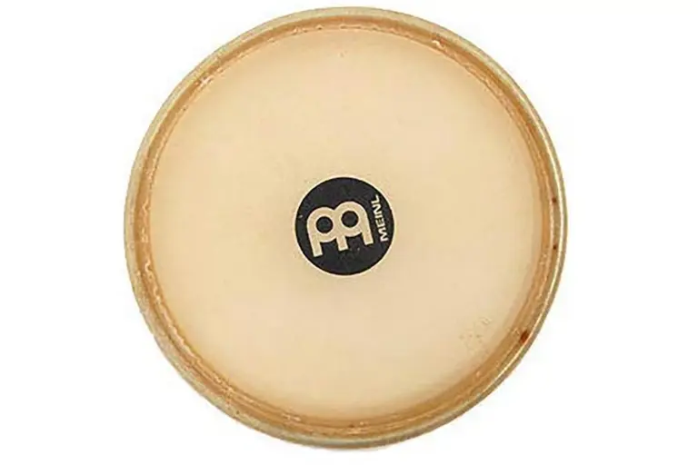 TS-B-45